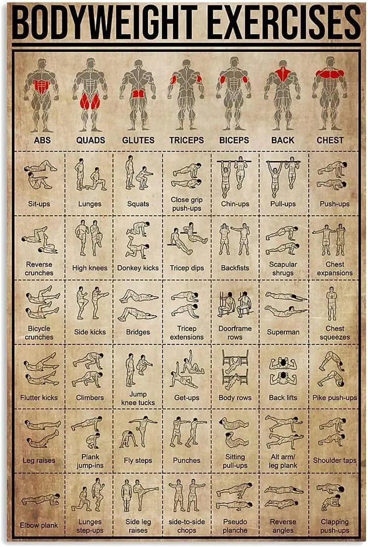 ESETASOT Plaque Métallique Vintage pour Exercices de Musculation, Affiche en Étain sur la Connaissance du Fitness, Décoration Murale pour Club, Salle de Sport à Domicile, Café, Art Mural