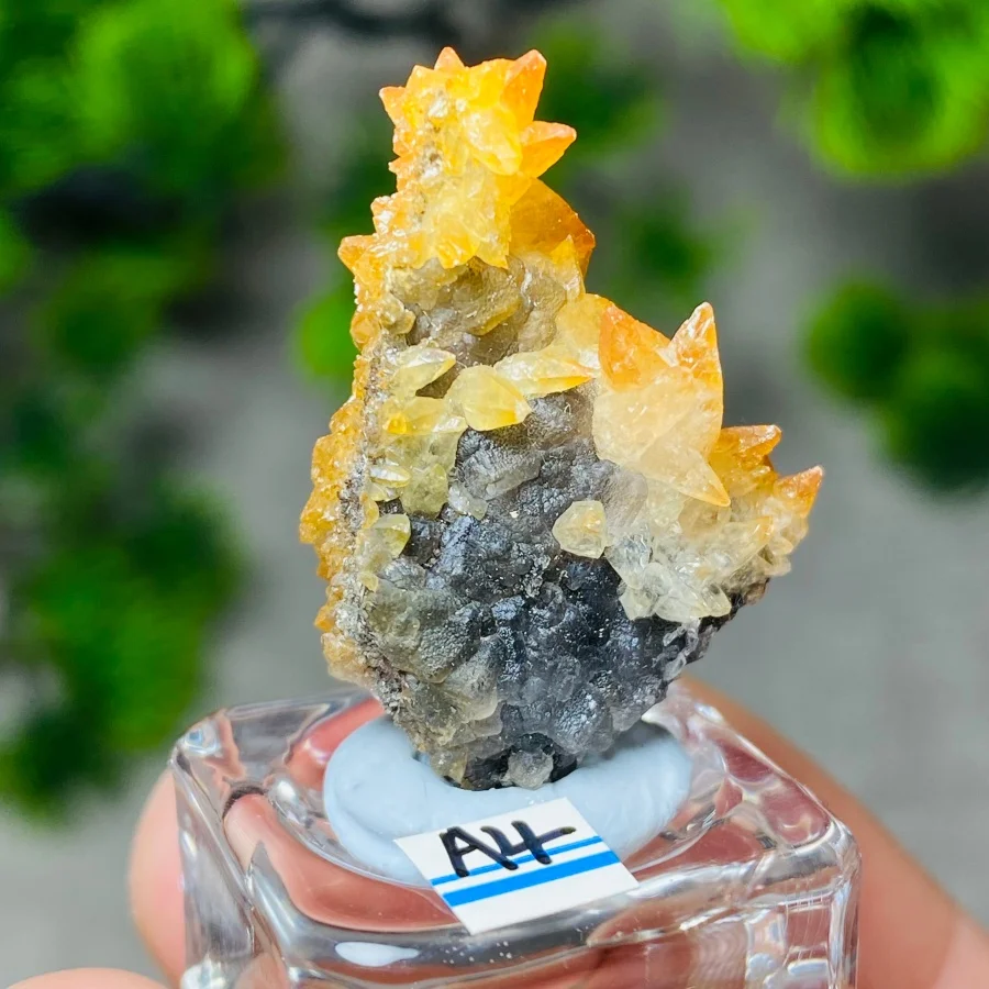 Natural China Fluorite and Crystal Symbiosis Mineral Specimens Teaching Reiki Healing Stone Home Decor