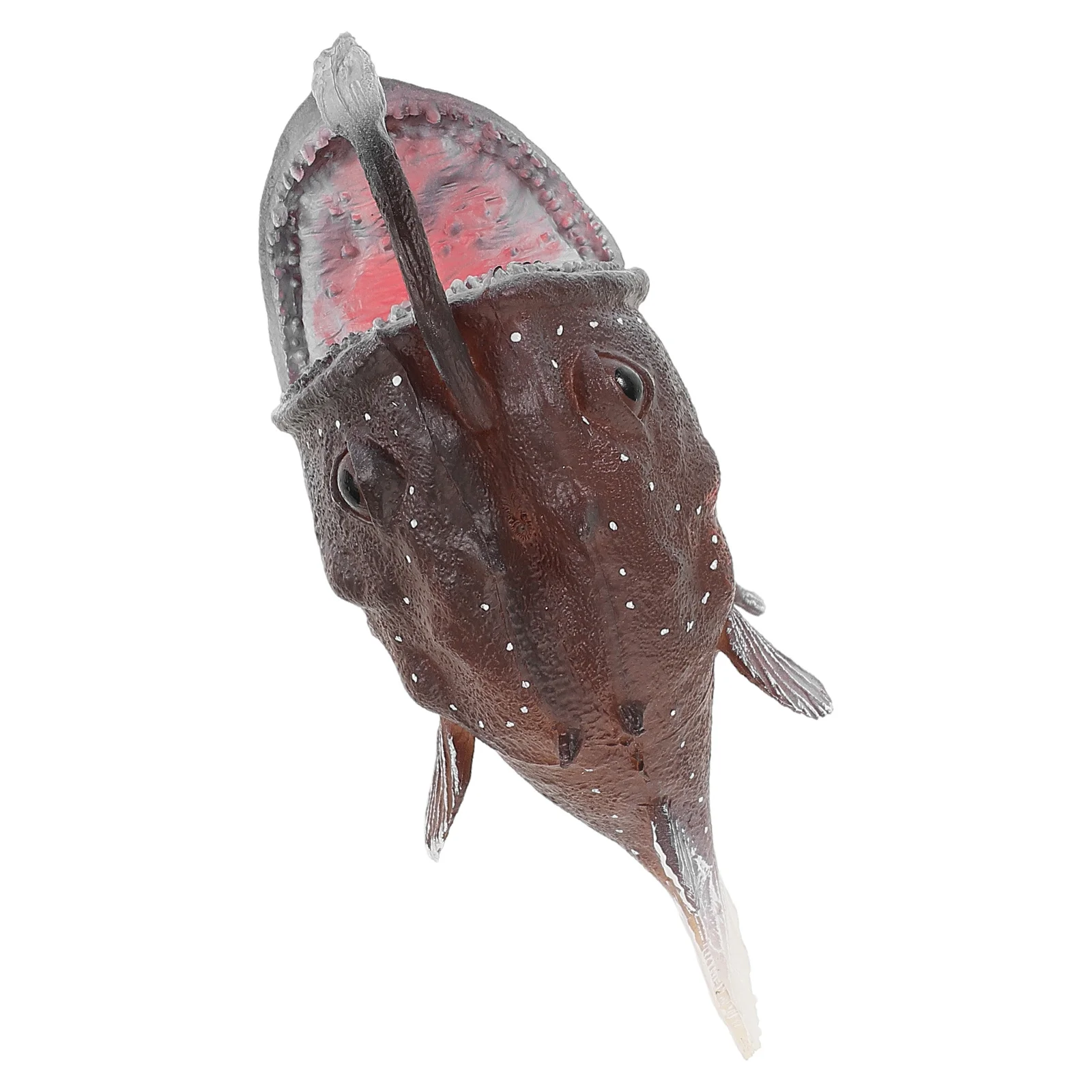 ของเล่นสัตว์ทะเล 3 มิติ สมจริง 1 ชิ้น สำหรับเด็ก เรียนรู้ชีววิทยาทางทะเล เสริมสร้างประสาทสัมผัส ของเล่นเสริมพัฒนาการ ทำจากพลาสติกขนาดเล็ก