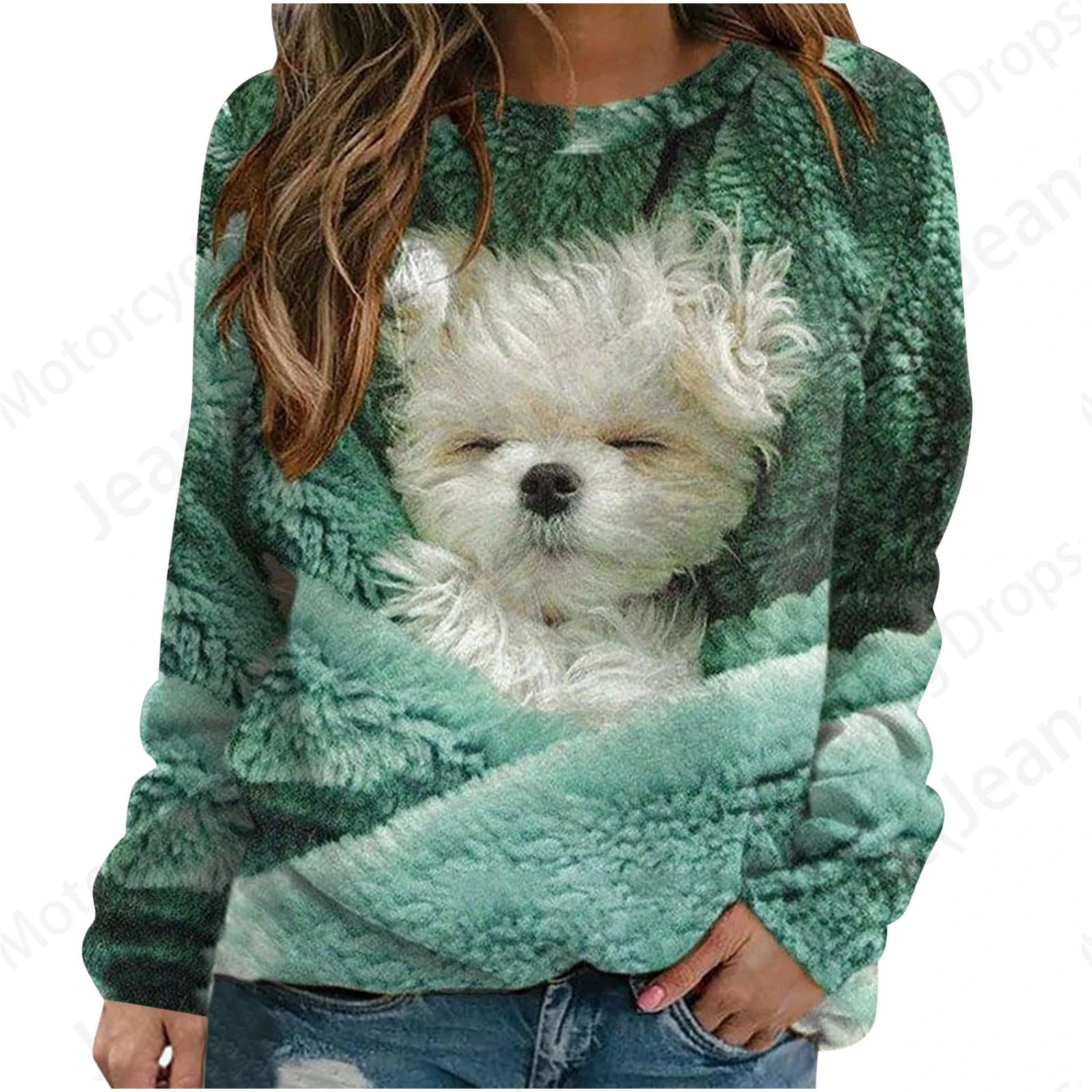 Cute Cat 3d Print Graphic Hoodie Women Fashion O-neck Hoodies Women Sweats Warm Coat Girl Clothes O-neck Loose Hoody Female Fall