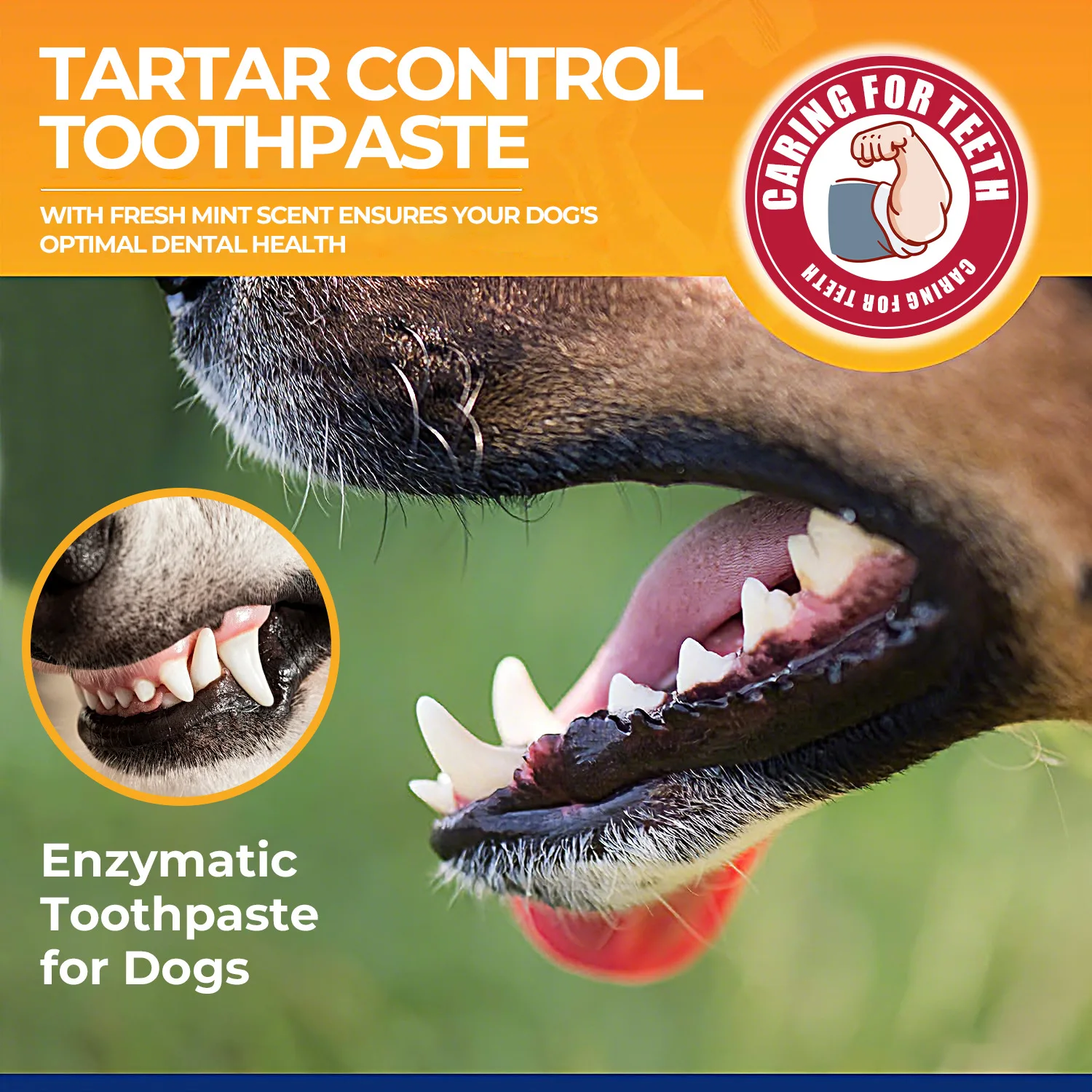 2PCS Baking Soda Fortified Formula Enzyme Toothpaste Helps Dogs Freshen Their Breath