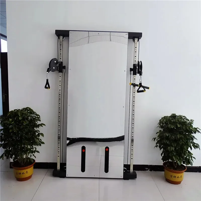 【Hot】Wall Bird Trainer Wall-mounted Double Squat Trainer Retractable Bird Frame Home and Commercial Comprehensive Fitness Equipm