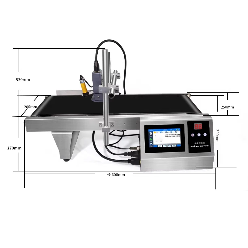 Conveyor Belt Equipped Automatic Inkjet Printer Continuous Coding Equipment for Barcode QR Code Expiry Date Printing on Cartons