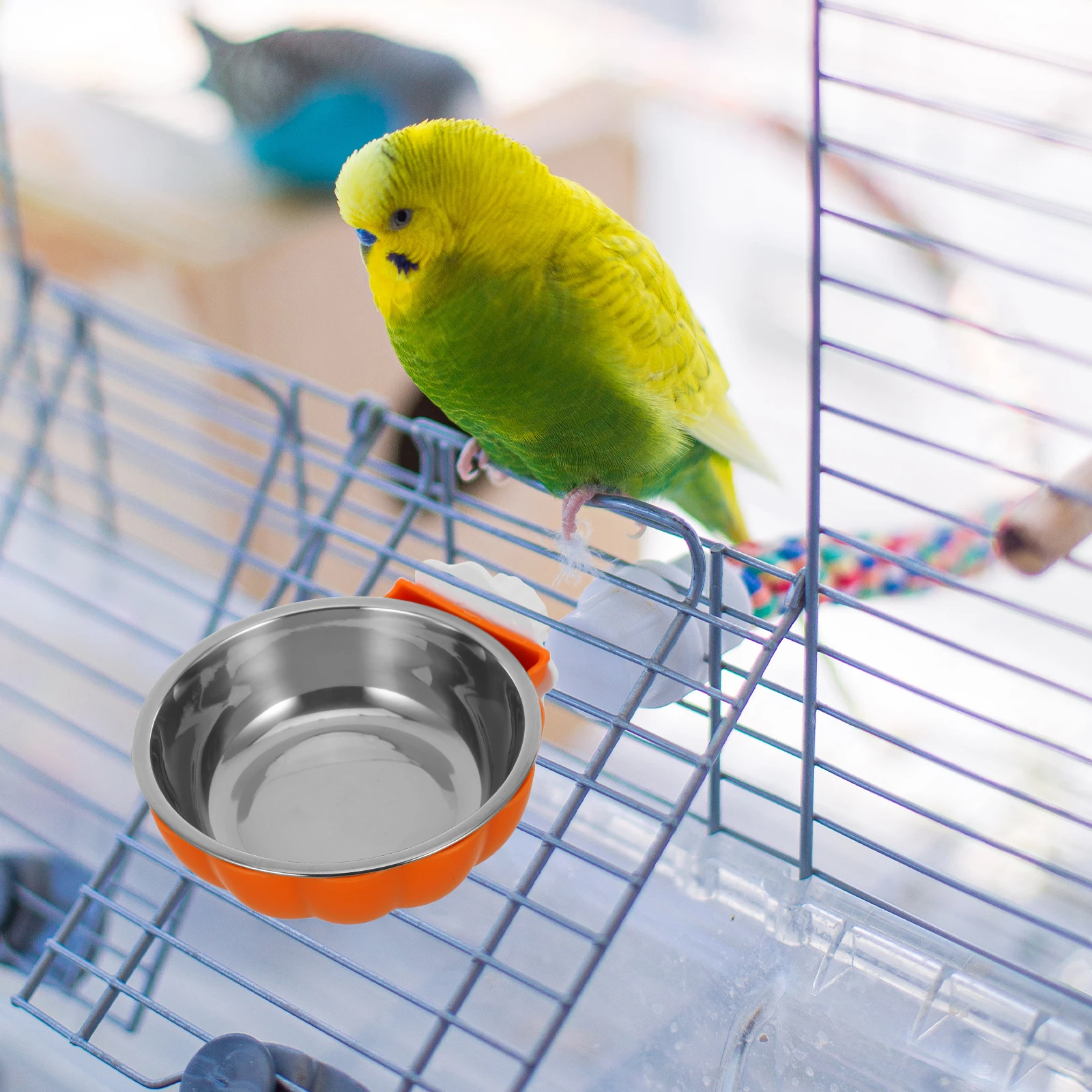 

Stainless Steel Feeding Parrot Dish Durable Anti-Slip Accessories Waterer Container Holder For Parakeet Hamster Chinchilla Clamp