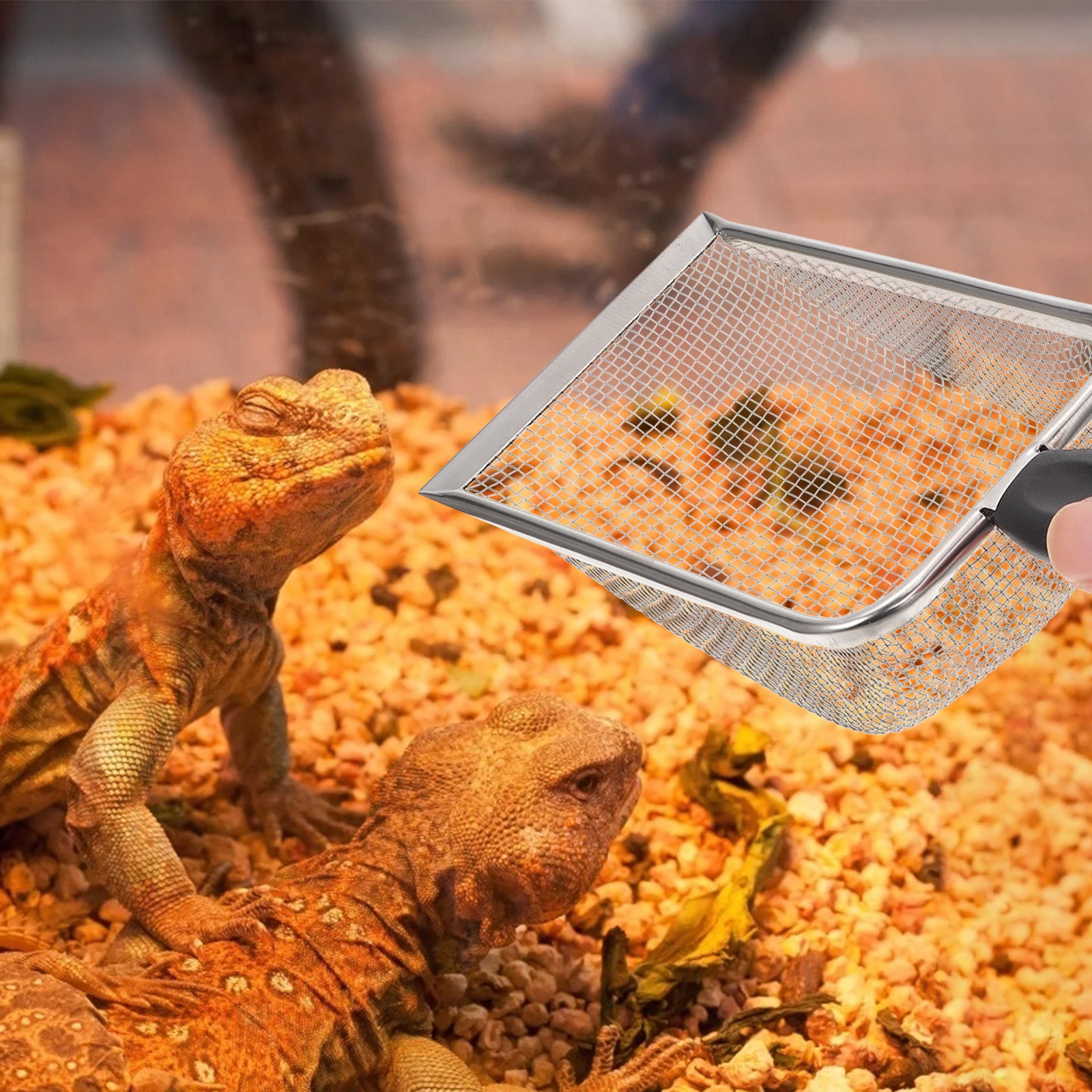 

Stainless Steel Sand Shovel Reptile Supplies Poop Scooper Snake Spider Terrarium Bedding Substrates Sifter Pet Lizard Cleaning