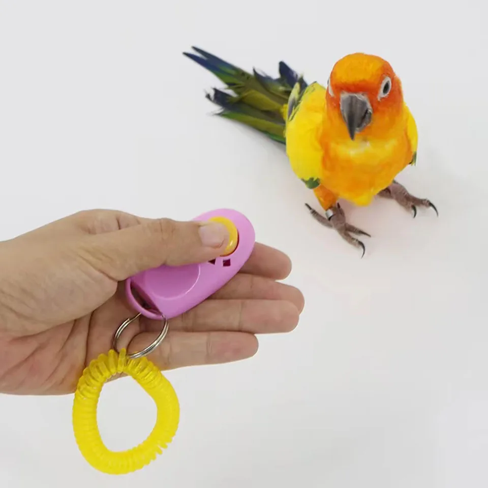 New Home Parrot Training Clicker Parrot Toy Training Educational Toys