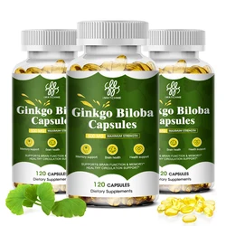 iMATCHME Ginkgo Biloba Extract, Improves Brain, Memory, Improves Circulation, Improves Cognitive Function, Increases Energy