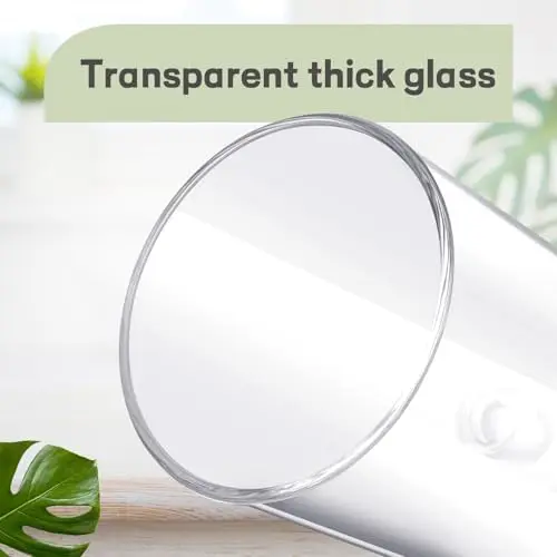 

Maxdot 4-Pack Glass Qtip Holder & Apothecary Jars with Lids – Bathroom & Vanity Organizer for Cotton, Swabs, Makeup, Jewelry