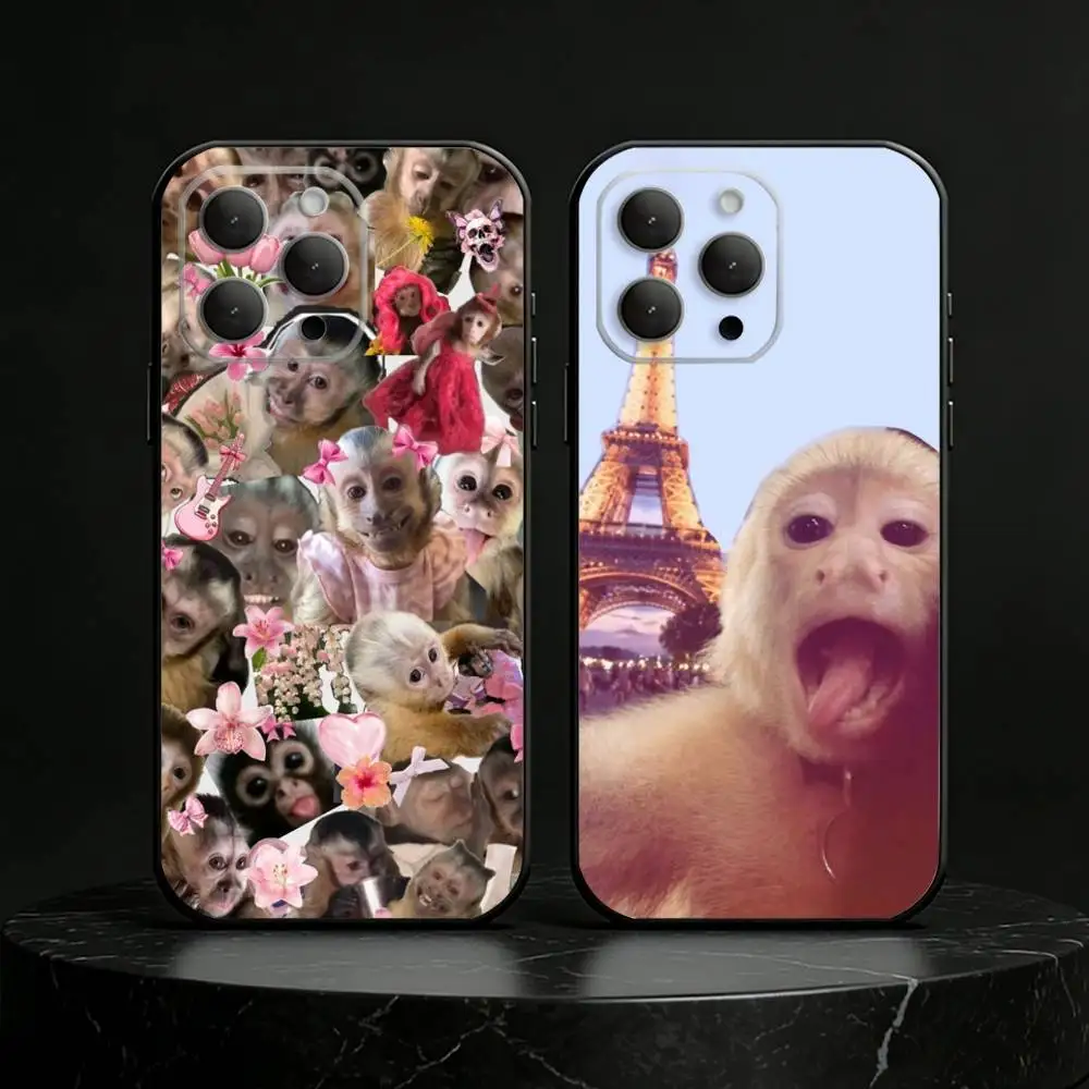 

Monkey abstract Funny Phone Case For iPhone 17,16,15,14,13,12,11 Plus,Pro Max,SE4Soft Silicone Black Cover