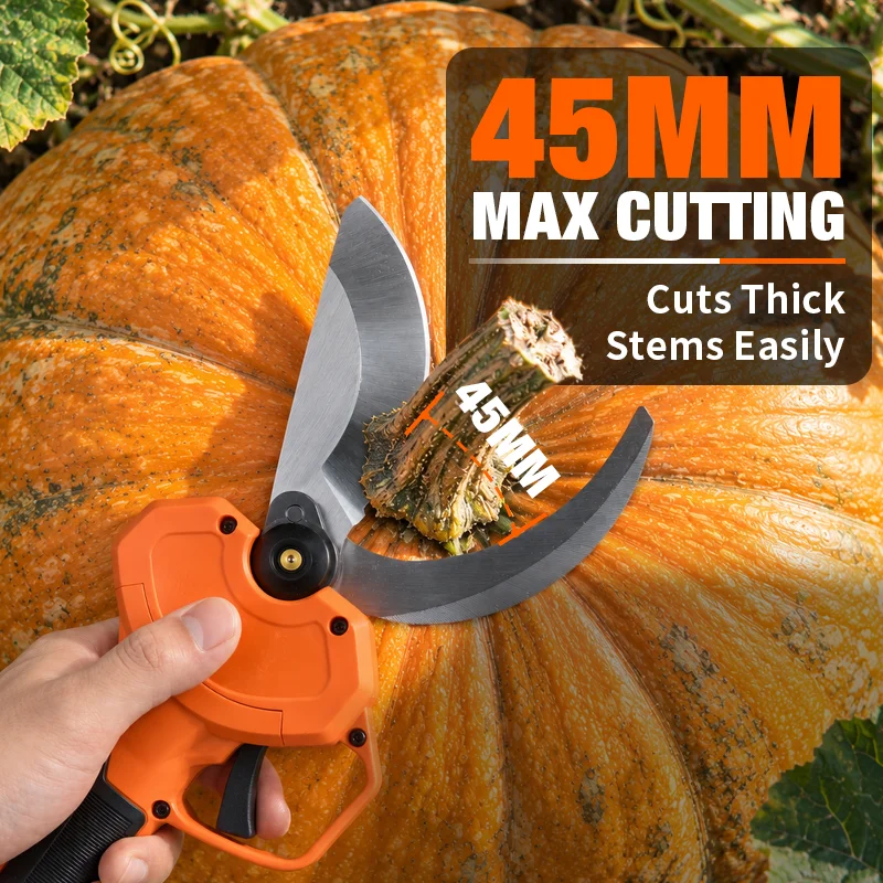 Thumbnail 3 - #61 Low Cost Pruning Shears That Work