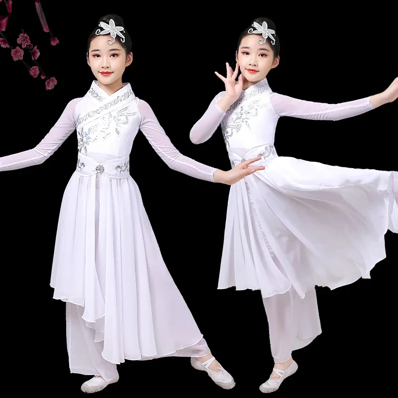 Dach Dance Ethnische Yangko Kleidung Fan Dance Tragen Nationalen Taille Trommel Anzug Leistung Kleidung Chinesischen Stil Hanfu Tanz