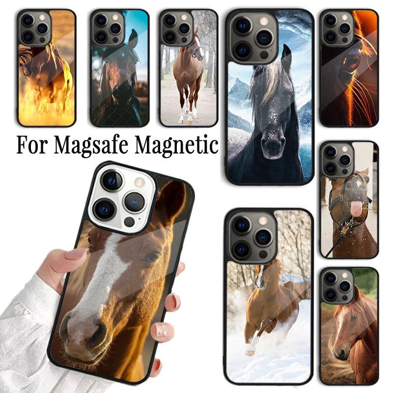 Phone Case For iPhone 16 15 14 13 12 11 Pro Max Plus Magsafe Magnetic Wireless Charging Cover Frederik The Great beauty horse