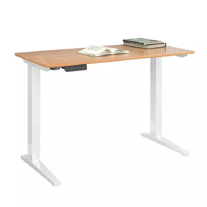 Ergonomic Modern Office Computer Table Standing Desk Double Motor Standing Desk Electric Height Adjustable Workstation Desk