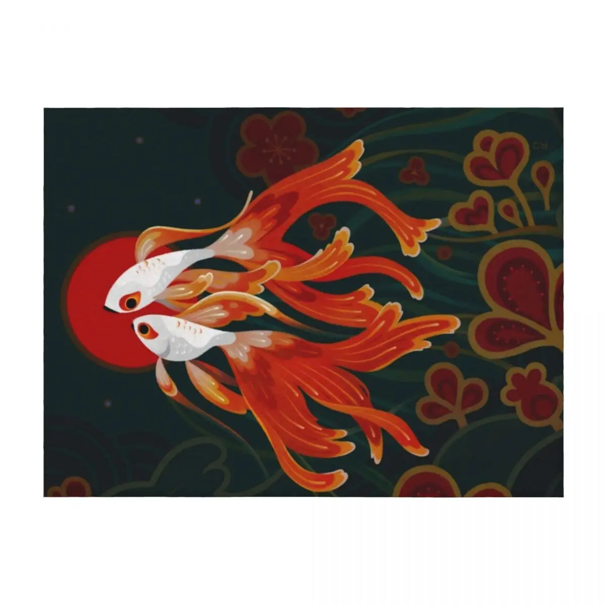 

Two comets Throw Blanket Beach decorative Hairy For Decorative Sofa Blankets