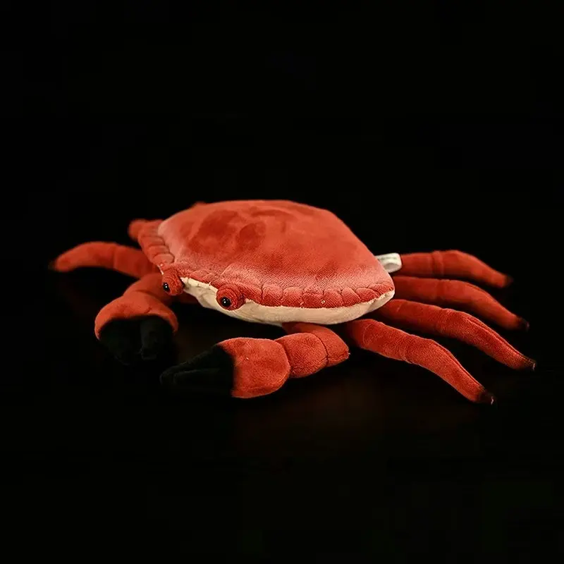 New Styles Edible Crab Plush Toy High Fidelity Dungeness Crabs Plushie Animals Calappa philargius Soft Simulation Doll Lifelike