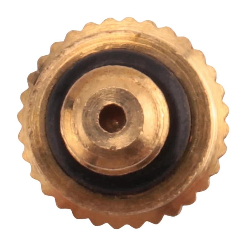 ABLQ 200Pcs Brass Misting Nozzles For Cooling System 0.012 Inch(0.3 Mm) Water Spray Nozzle Sprinklers Misting Cooling