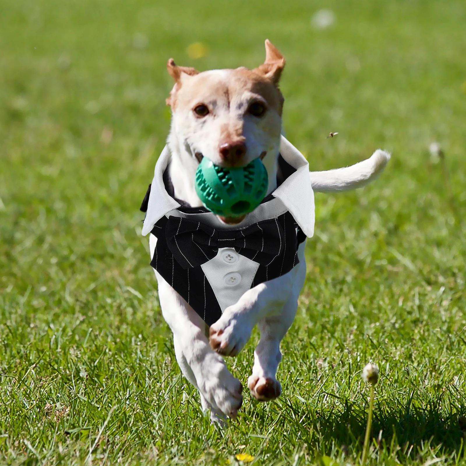 

Pet Tuxedo Dress Comfortable Polyester Dog Suit Bow Outfits Striped Puppy Formal Clothes Wedding Party Clothing