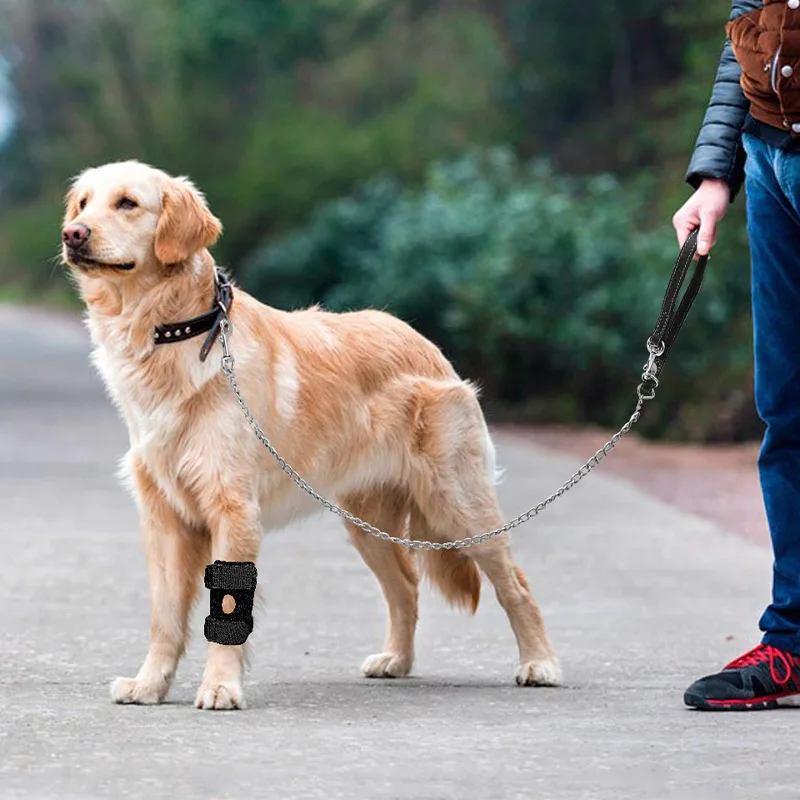 อุปกรณ์พยุงขาสุนัข ป้องกันการบาดเจ็บ ป้องกันการแตกหักของขาสุนัข อุปกรณ์ป้องกันขาสัตว์เลี้ยง สายรัดพยุงขาหน้าและหลัง