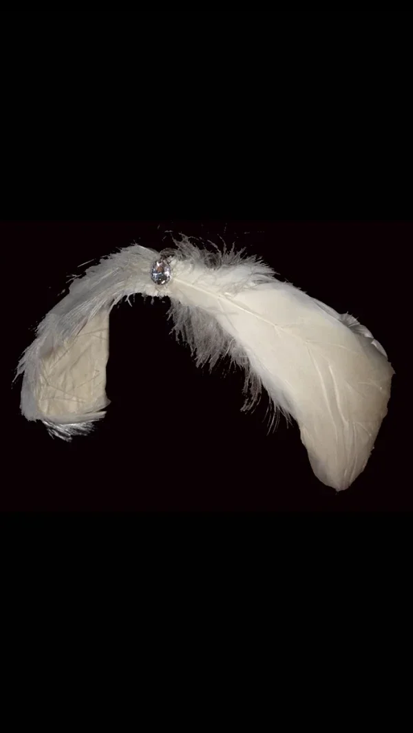 GOHYPDUG Swan Lake Headwear Acessórios para fantasia de balé de penas