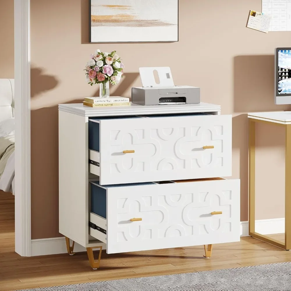

2-Drawer Lateral File Cabinet - Modern Filing Cabinet for Legal/Letter/A4 Size with Large Storage & Printer Stand