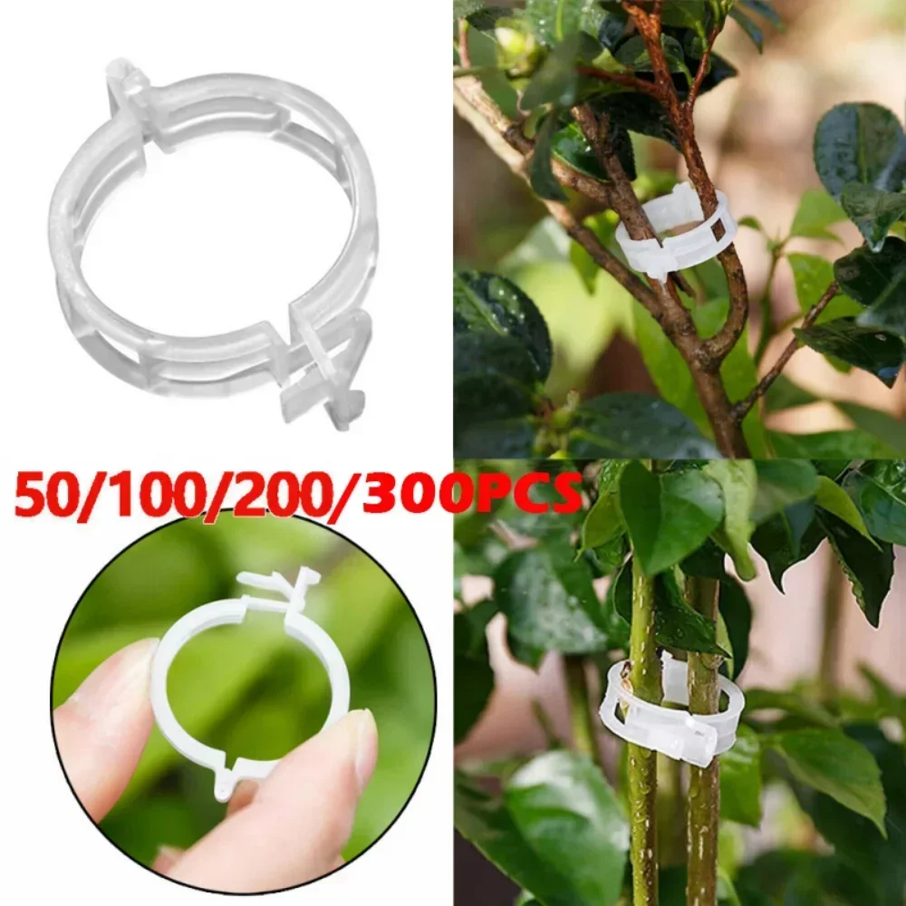 

50/100/200/300Pcs Plastic Plant Clips Reusable Protective Grafting Fixed Plants Vegetable Grafting Protect Garden Supplies Tools