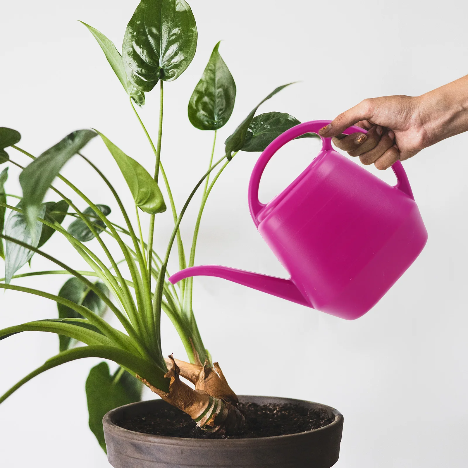 

Watering Can with Long Spout Large Capacity for House Plants Bonsai Flower Gardening Tool Plant Care Accessories Kettle Style