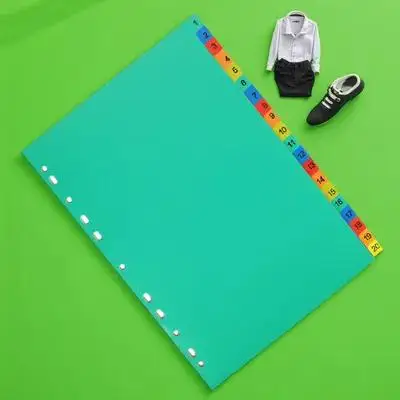 

20Pcs Notebook Dividers Plastic Page Dividers for Binder with Index Tabs Perfect for Notepad Planner Book Classification