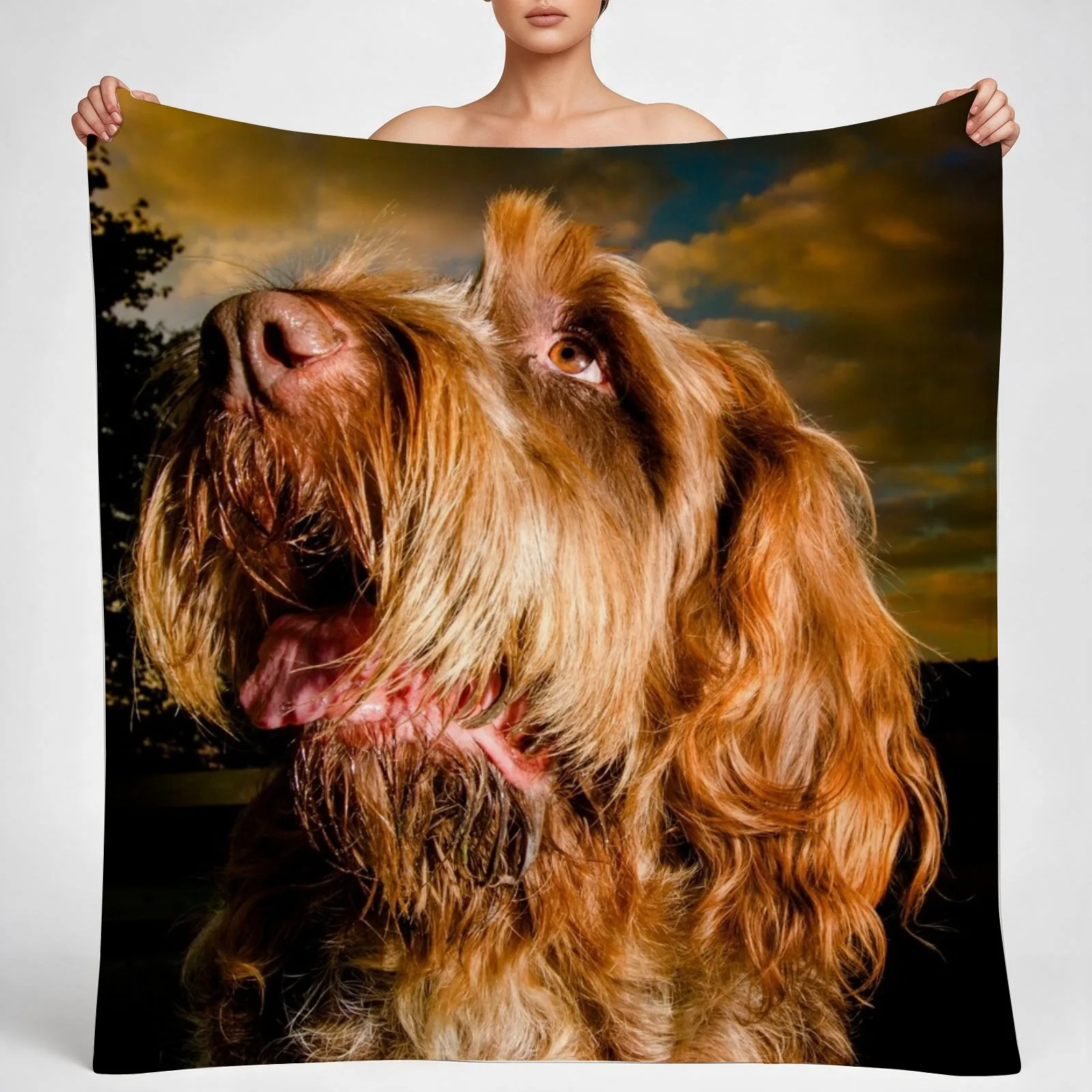 New Star light, star bright Spinone Throw Blanket couch cozy soft plush fuzzy picnic outdoor blanket