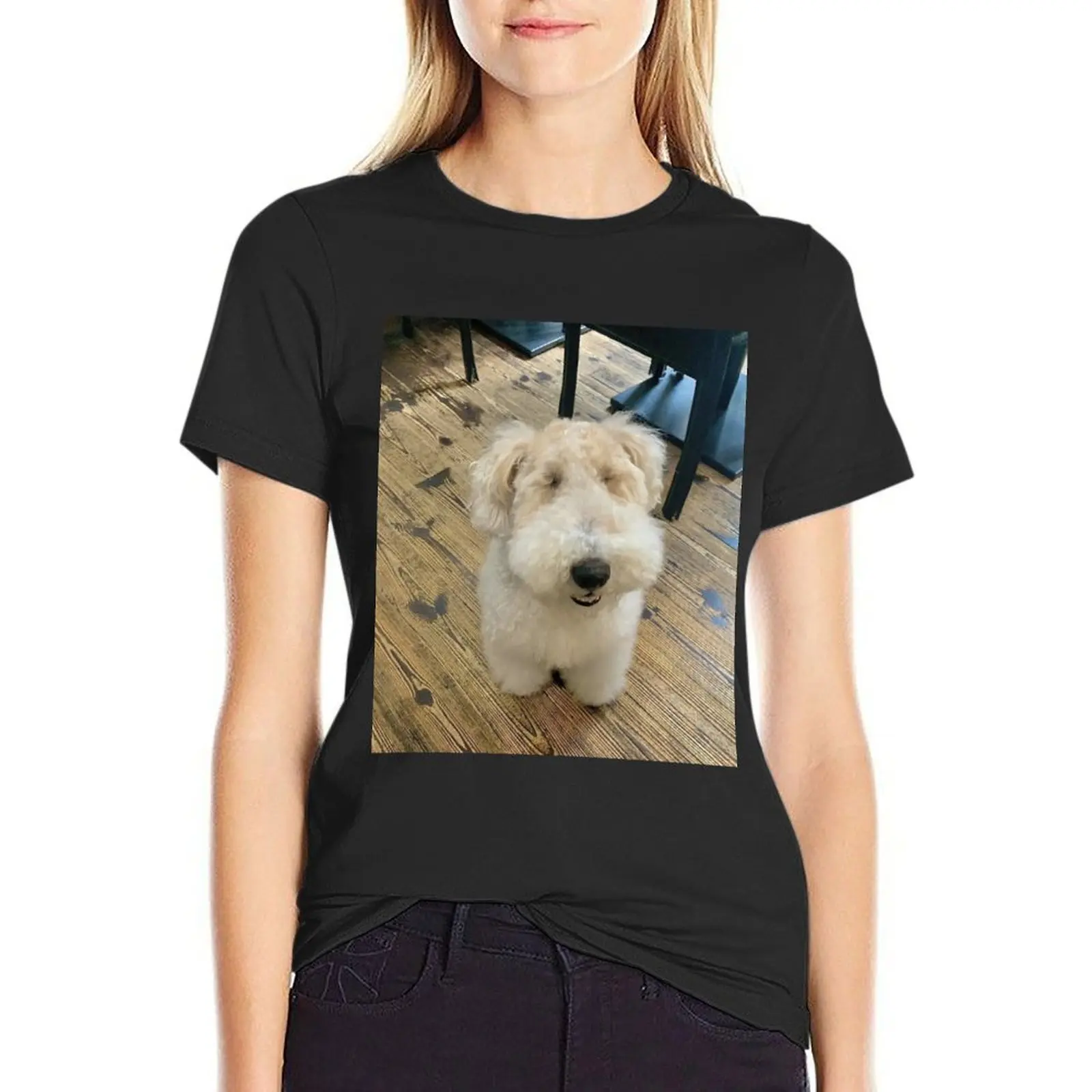 Hilarious looking dog Borotan T-Shirt funnys Blouse funny t shirts for Women