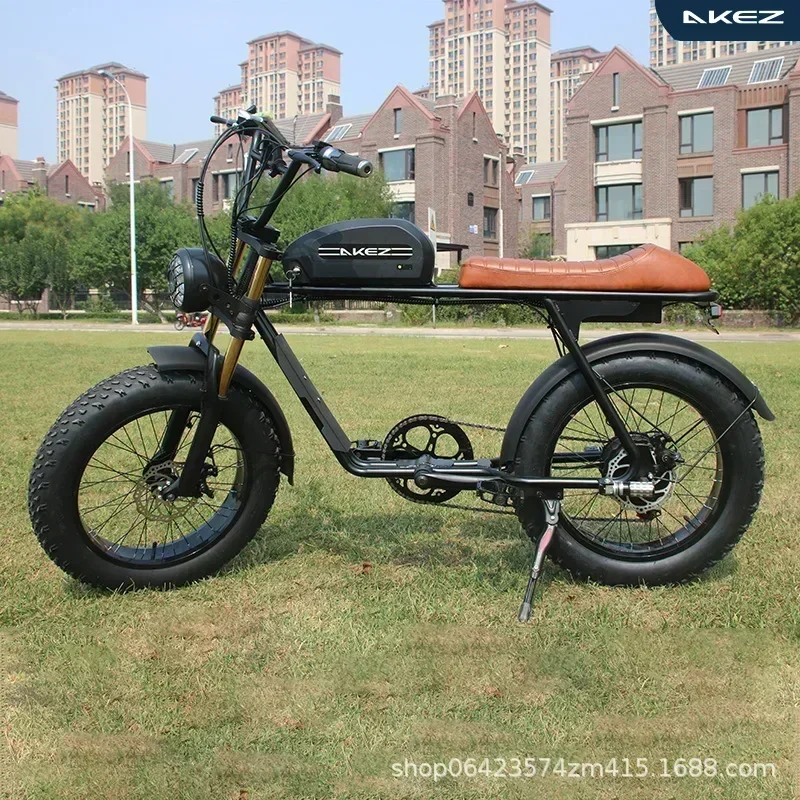 

Electric Bicycle EU Warehouse Ready Electric Bike Ebike Fat Tire Bike Electric Motorcycle Assist Bicycle Men's E-Mountain Ebike