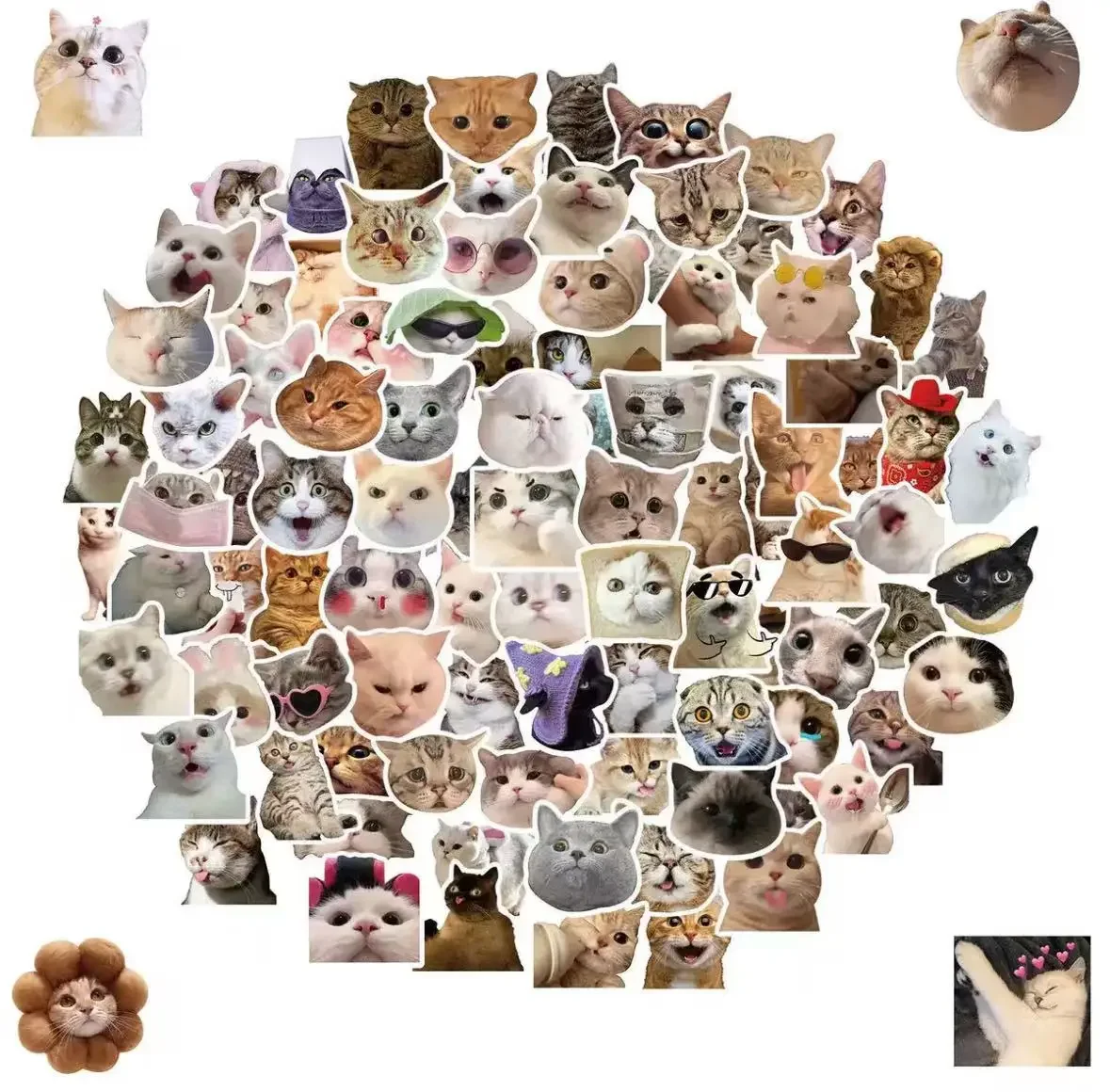 

50 cat stickers Internet celebrity cat emoticon pack graffiti stickers cross-border cute funny cat head