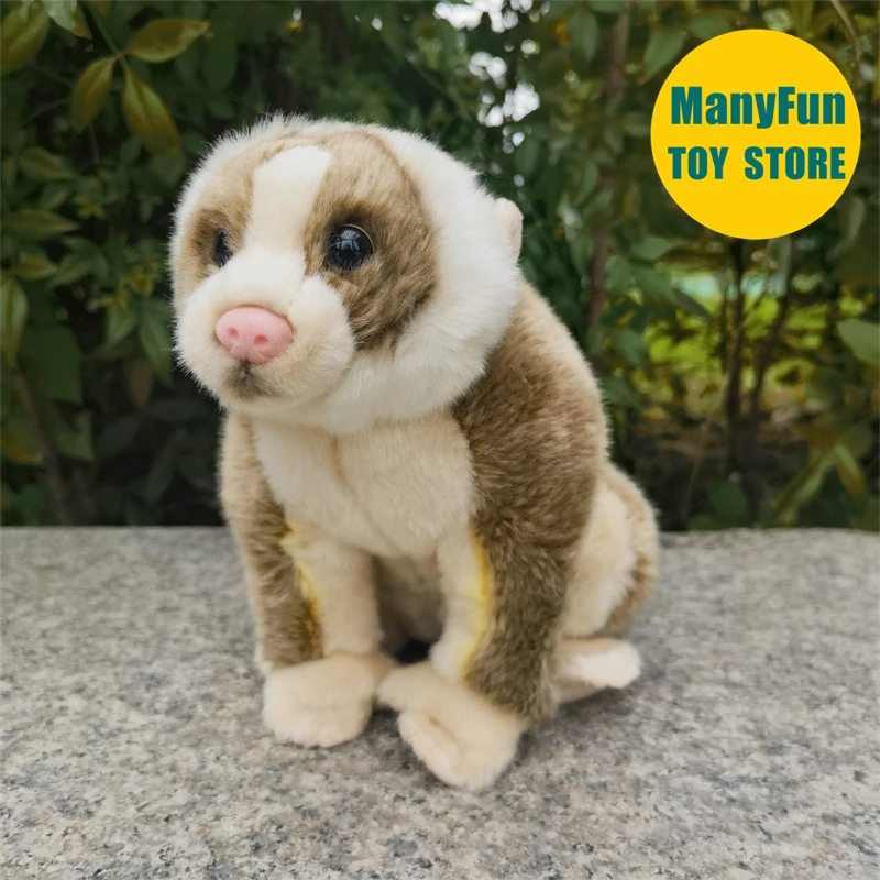 

Realistic Pygmy Slow Loris Plush Toy Nycticebus Plushie Monkey Peluche Lifelike Stuffed Animal Simulation Doll Toy Gift For Kids