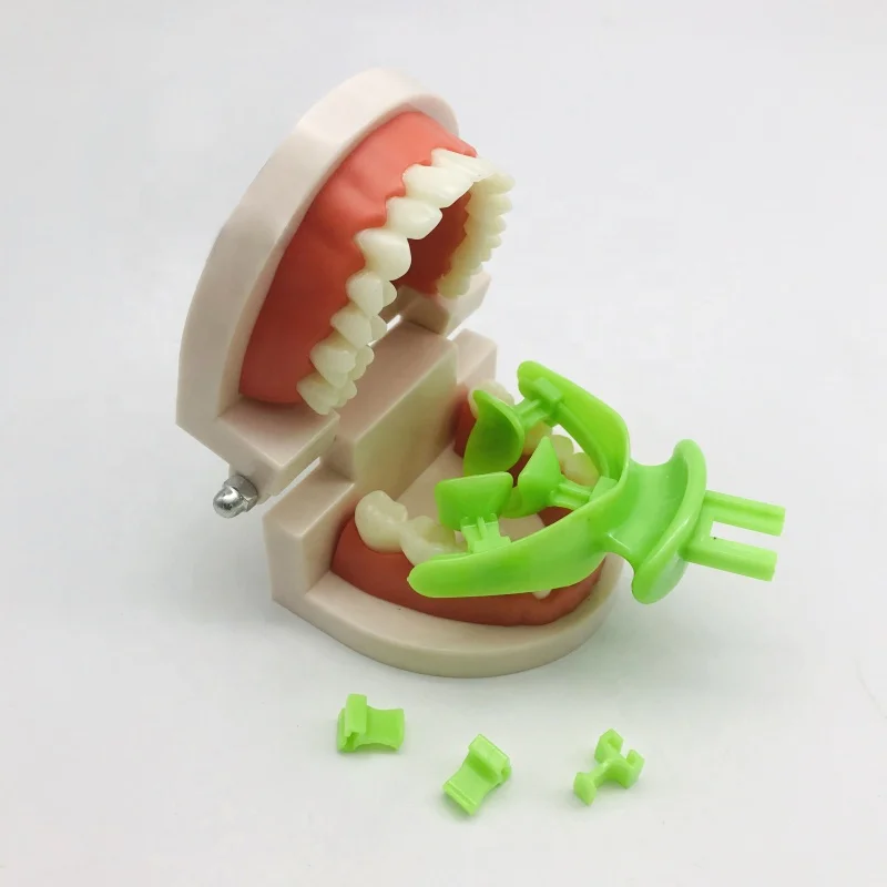 BPS Centric Tray Occlusal Position Recording Articulator Facebow Implantology Impression Trays. Best Tool s