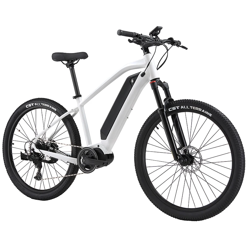 Electric Bicycle 250W Bicicleta Electrica Mid-Drive Motor 9 Speed Hydraulic Disc Brake Electric Mountain Bike Ebike