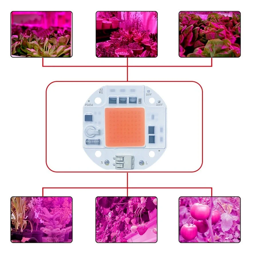 No welding LED COB CHIP 20W 30W 50W AC220V 110V Full Spectrum Plant growth cold white warm white light emitting diode LED matrix