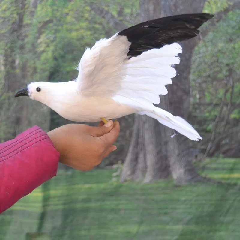 new real life Seagull model foam&feather black wings seagull bird about 32x50cm d0139