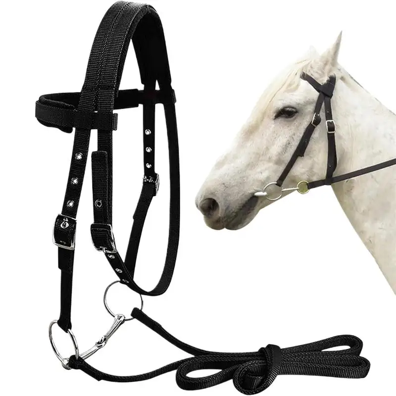 Adjustable Horse Halter With 3 Adjustable Buckles Thicken Plated Halters For Training Thicken Plated Equestrian Training Halters