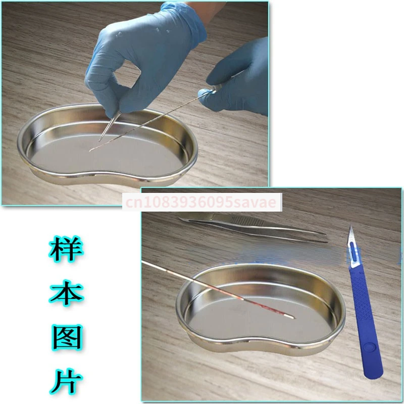 Teaching Practice of Small Tissue Needle Sampling of Animal Cellular Specimens