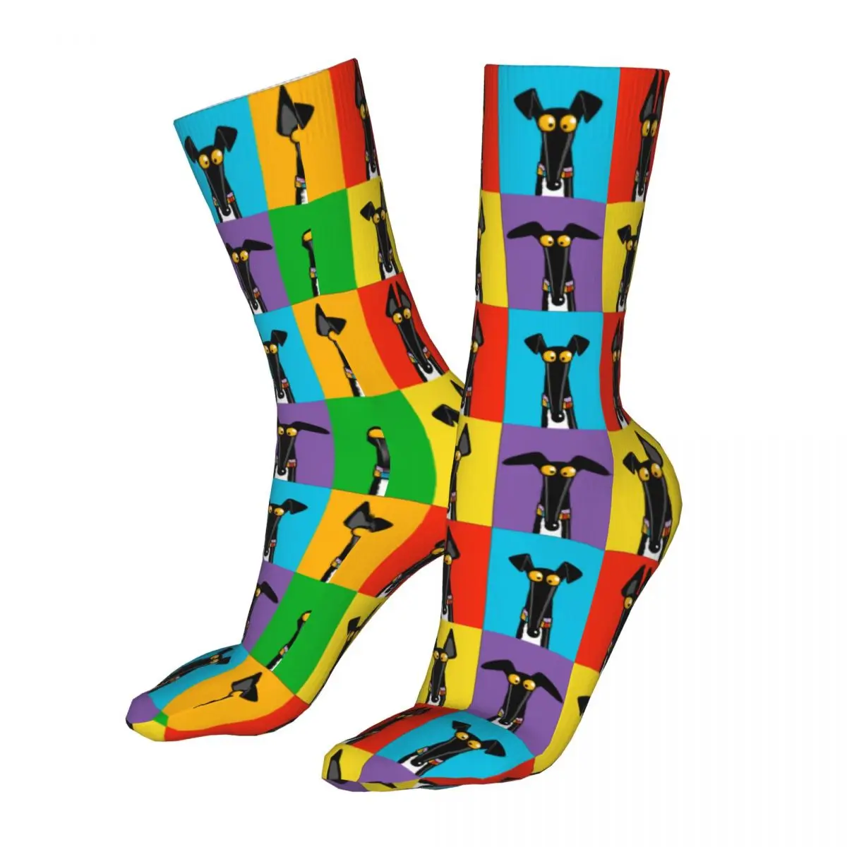 Compression Greyhound Semaphore Woman Socks 2022 Female Dog Animal Cycling Sock