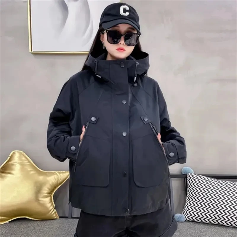 Veste courte à capuche pour femme, manteau coupe-vent, pardessus décontracté, extérieur, tempérament féminin, tendance, automne, nouveau, 2023