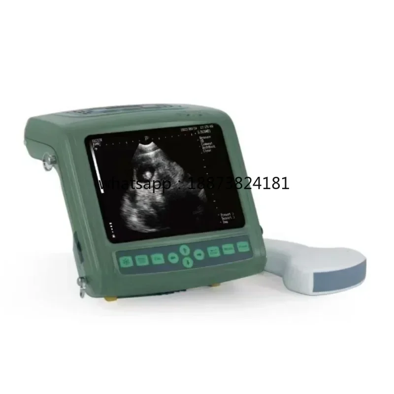 Veterinary Full Digital Diagnostic ,Probe Pig Scanner  fast shipping