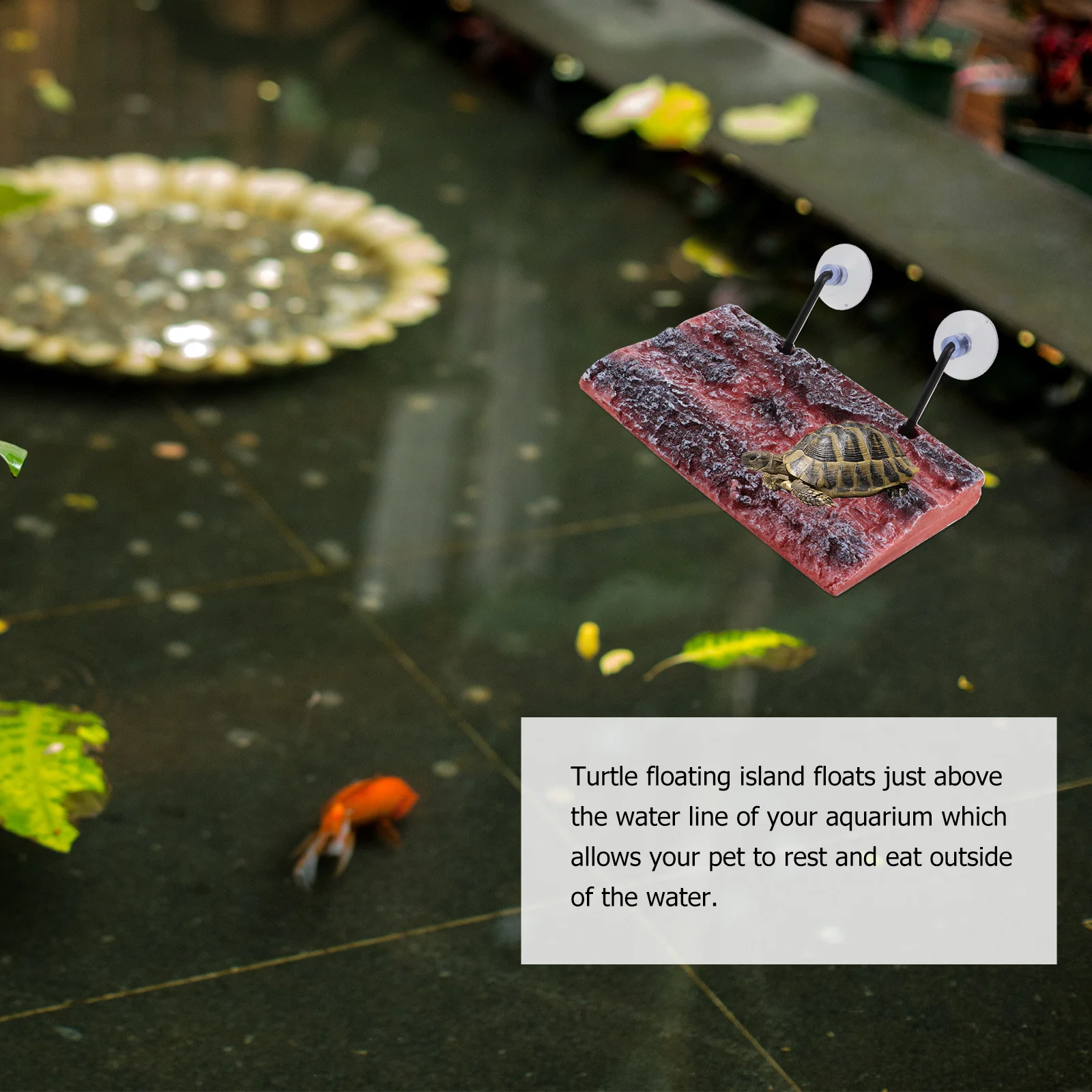 

Turtle Floating Island Eco-Friendly Bask Platform for Fish Tank Aquarium Decoration Simulation Bark Terrarium Ornament Suitable