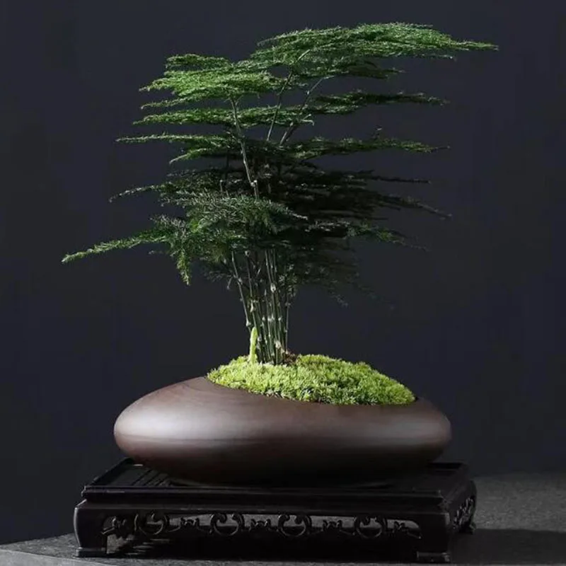 Retro Purple Clay Plant Pot Chinese Style Orchid Asparagus Viridis Flower Pot Breathable Vase Desktop Ornaments Garden Decor