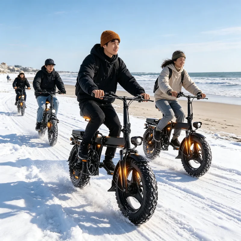 14 Inch 500W Budget Premium E-bike, UL2849 Safety Certified, Adjustable Seat, 45° Strong Hill Climbing, Direct From Manufacturer image 17