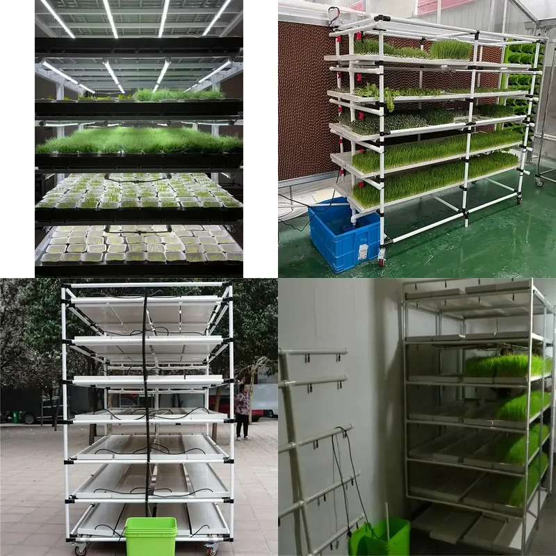 for Large Size Metal Cover Hydroponic Feed Rack Vertical Planting System Steel Structure Seeding Water Saving Pump