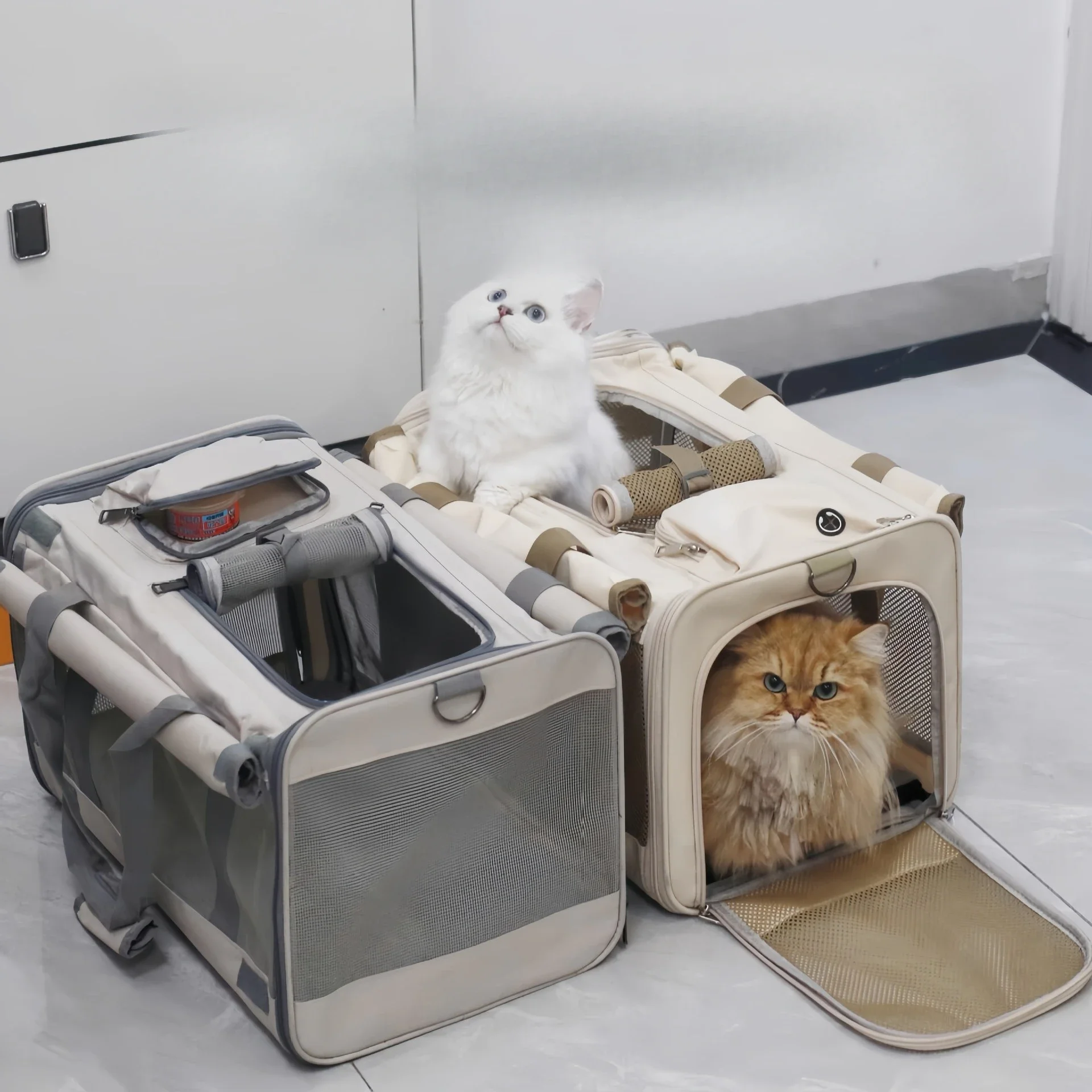 대형 휴대 가방이있는 고양이 캐리어 애완 동물 가방 통기성 애완 동물 캐리어 고양이 배낭 가방 고양이 운송 작은 동물 애완 동물 케이지