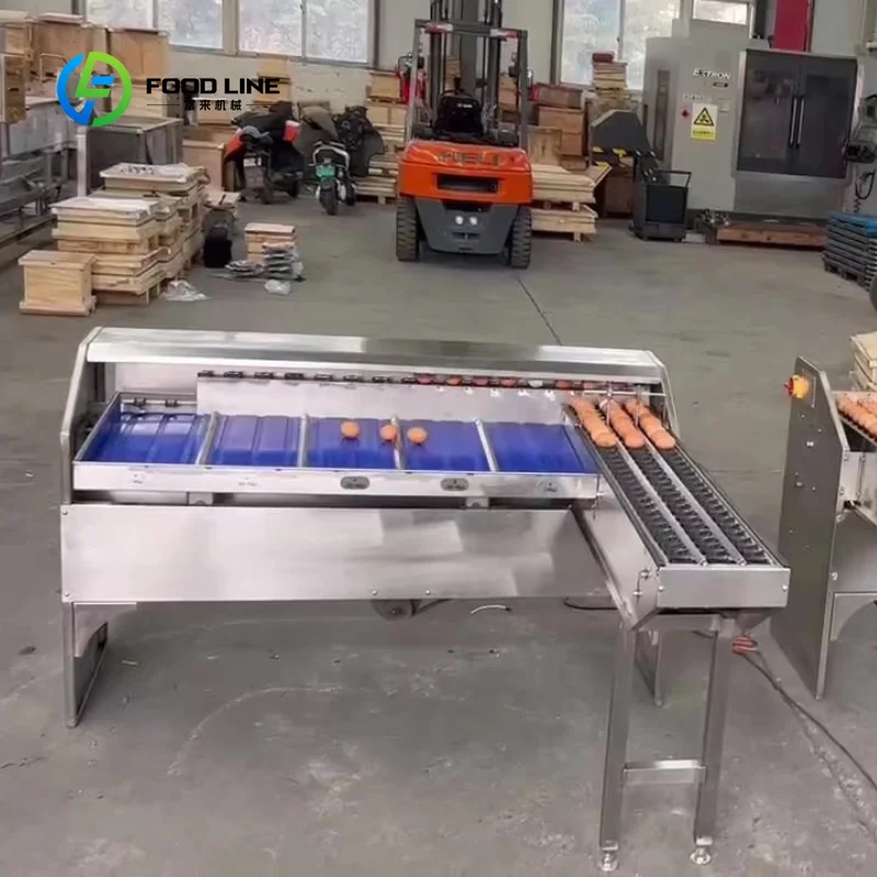 Customized Stainless Steel Egg Grading Machine 2000 Eggs Per Hour Capacity with Automatic Sorting Equipment & 220v Digital Scale