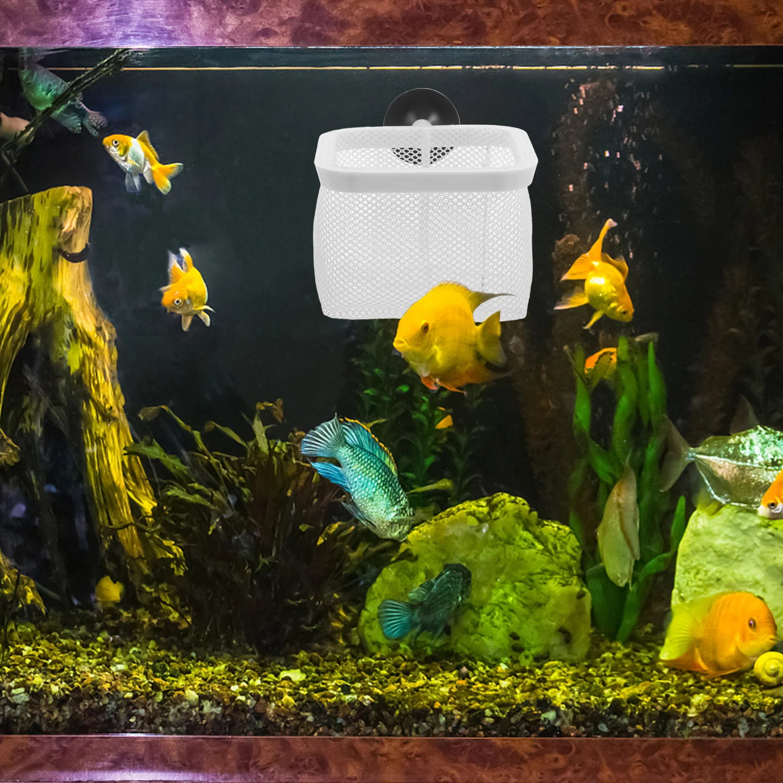 

Fish Tank Isolation Net Large Square Mesh Strong Suction Cups For Aquarium Breeder Box Shrimp Breeding Box Fish Incubator