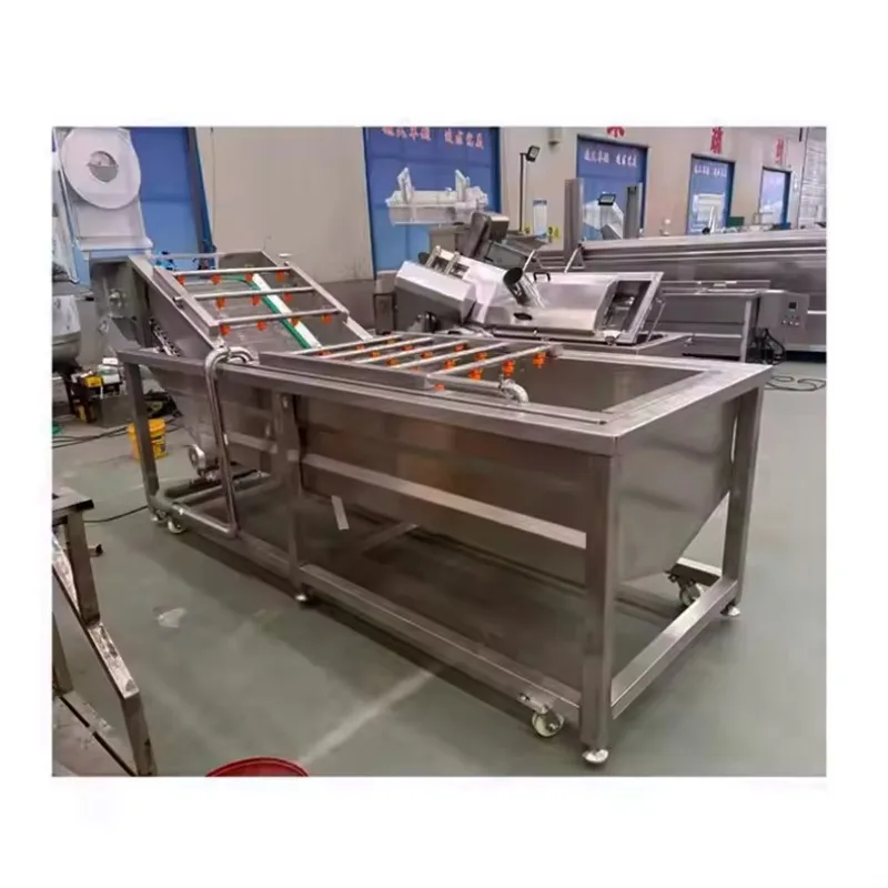 

Fully Automatic Industrial Processing Plants Fruit & Vegetable Washing Machine Bubble Cleaning Equipment