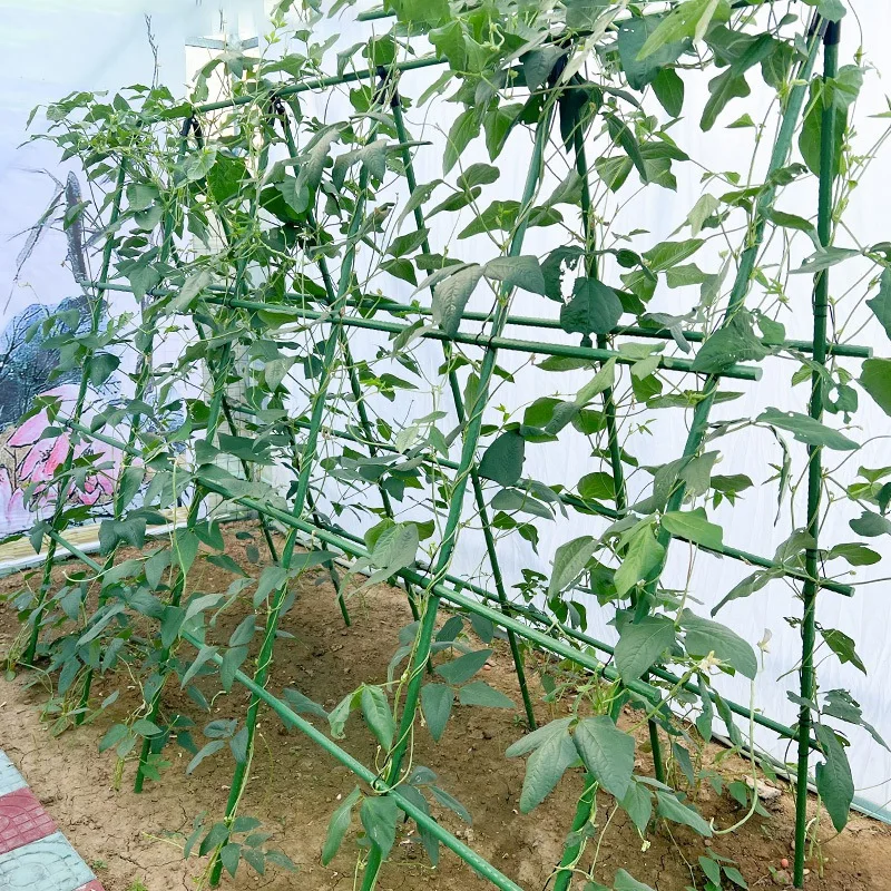 16x600mm Plant Shaping Plastic Coated Steel Pipe Grow Supports for Cucumber Trellis Home Garden Outdoor Use H0983BJ